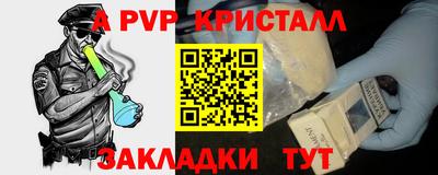a pvp Свободный